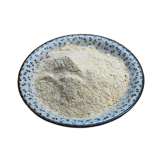 پودر سیر