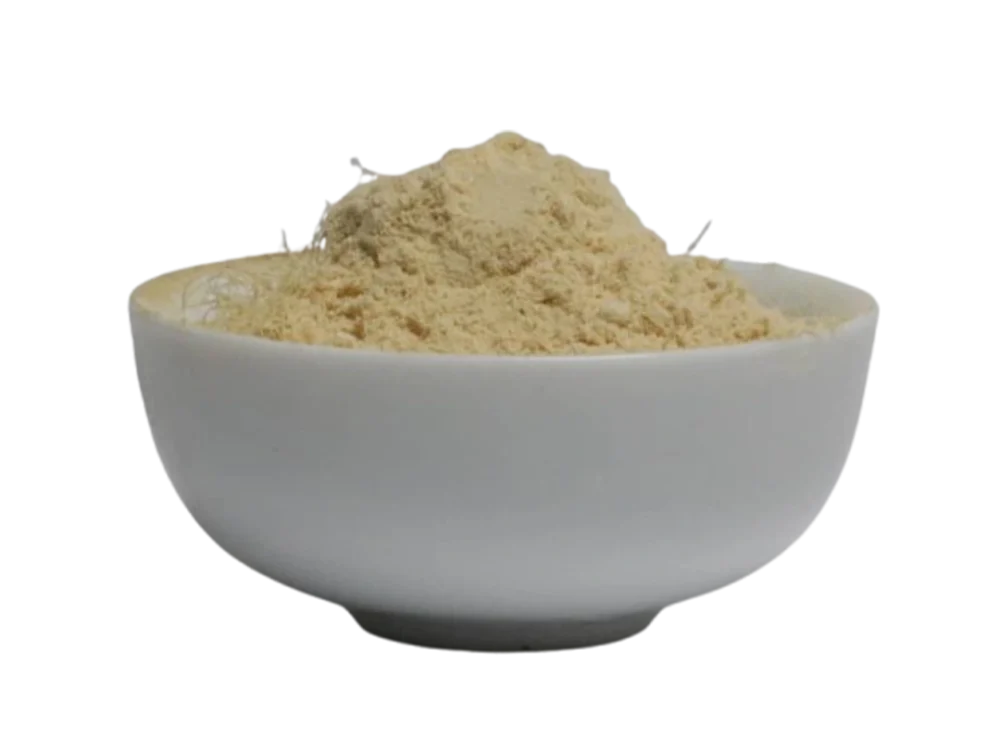 پودر زنجبیل