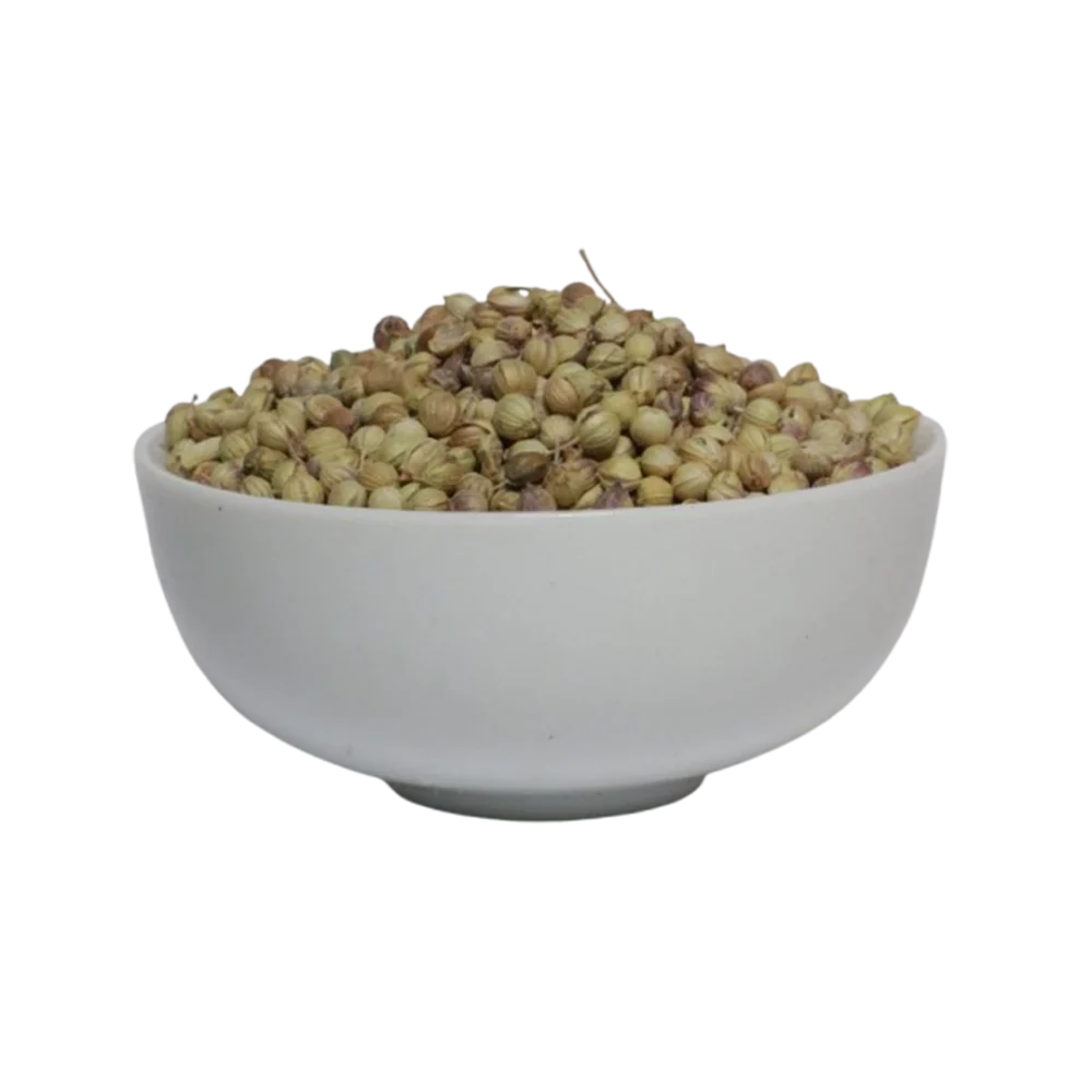 تخم گشنیز
