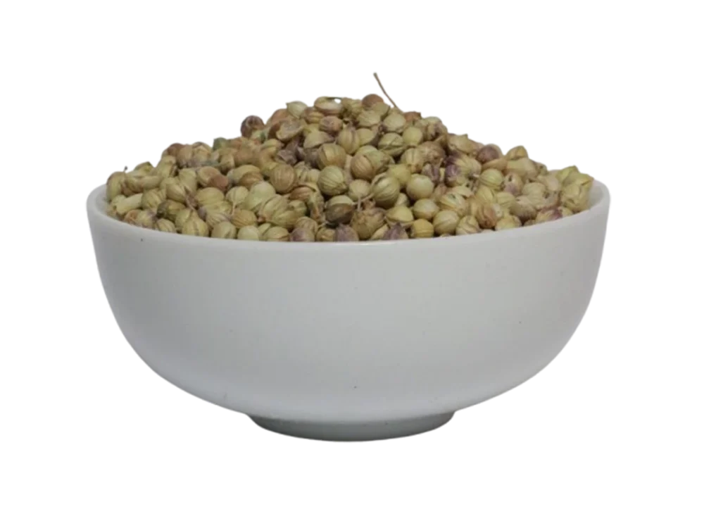 تخم گشنیز